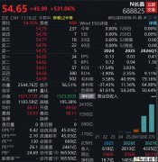 长鑫科技，盘中暴涨530%